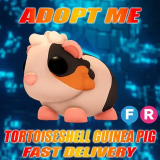 FLY RIDE TORTOISESHELL GUINEA PIG