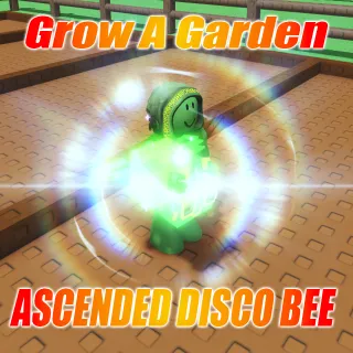 ASCENDED DISCO BEE
