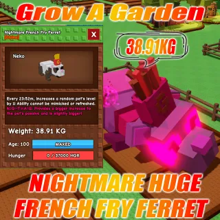 NIGHTMARE HUGE French Fry Ferret : 38.91KG AGE : 100