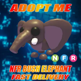 NFR BUSH ELEPHANT