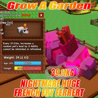 NIGHTMARE HUGE French Fry Ferret : 39.11KG AGE : 100