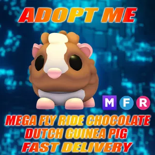 MFR CHOCOLATE DUTCH GUINEA PIG