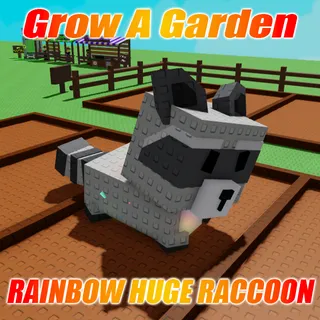 Rainbow Huge Raccoon Weight : 38kg Age : 100