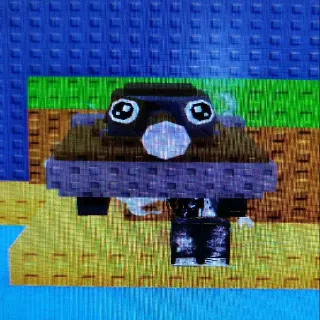 FOGGY/GOLD COCOTANK(3KG)