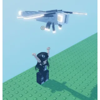 GIANT SILVER DRAGONFLY 