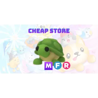 MFR Turtle