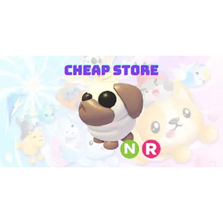 NR Snowball Pug