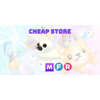 MFR Harp Seal