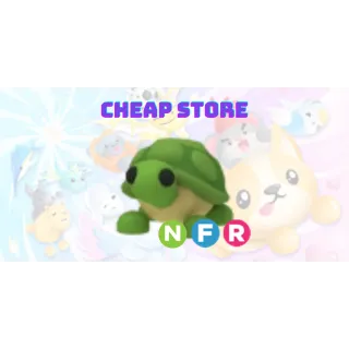 NFR Turtle