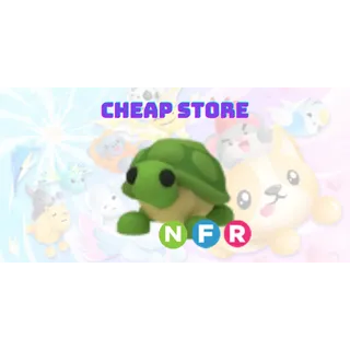 NFR Turtle