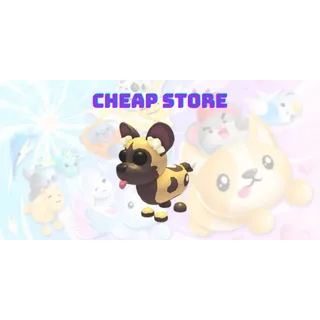 R Giant Panda + African Wild Dog