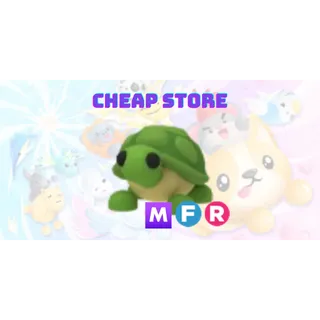 MFR Turtle