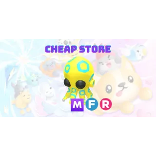 MFR Blue Ringed Octopus