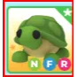 NFR Neon Turtle Adopt Me