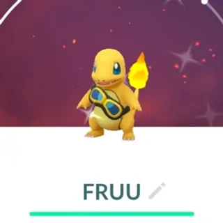 Pokemon go ✨Shiny costume Charmander goggles 🥽✨ TRADE