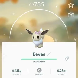 Shiny flower crown eevee