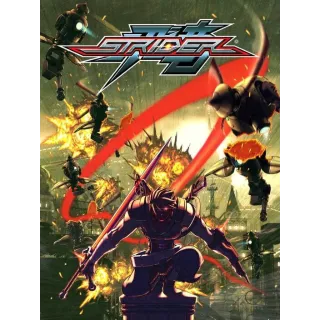 Strider & Bionic Commando two  games one great price
