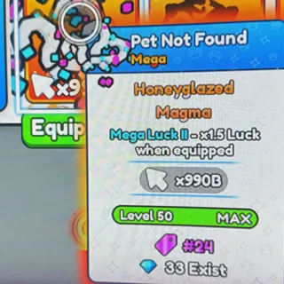 Pet Not Found