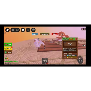 Grow a garden Good size shiny swan