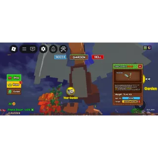 76 kg semi titanic jumbo cocratice 