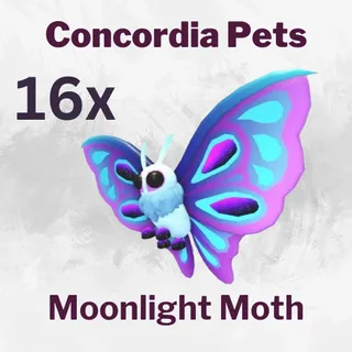 Moonlight Moth