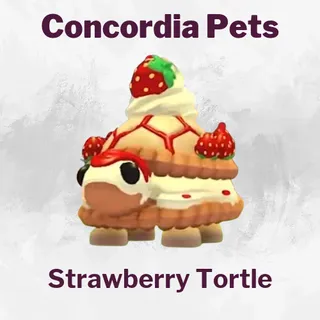 Strawberry Tortle