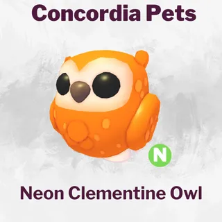 Neon Clementine Owl