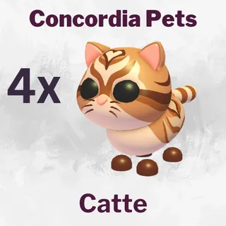 Catte 4x
