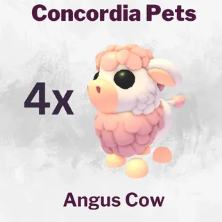 Angus Cow