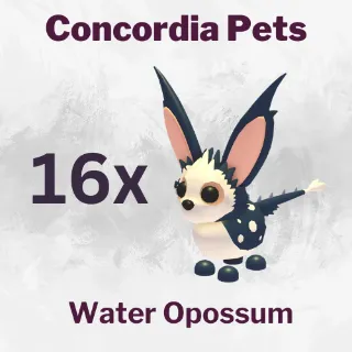 Water Opossum