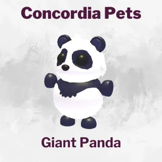 Giant Panda
