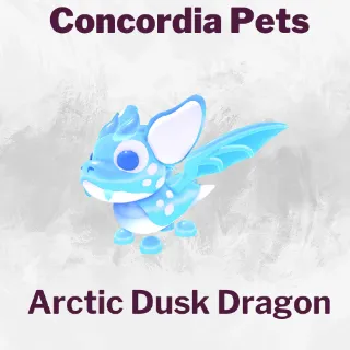 Arctic Dusk Dragon