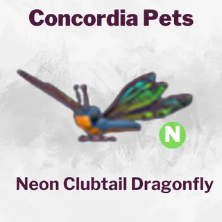 Neon Clubtail Dragonfly