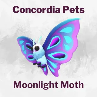 Moonlight Moth