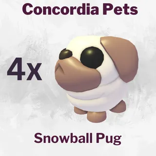 Snowball Pug