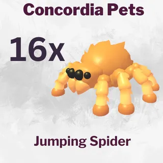 Jumping Spider 16x