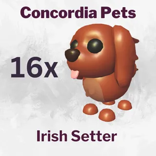 Irish Setter