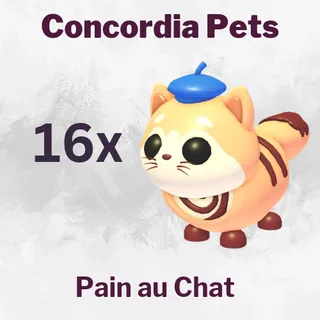 Pain au Chat 16x