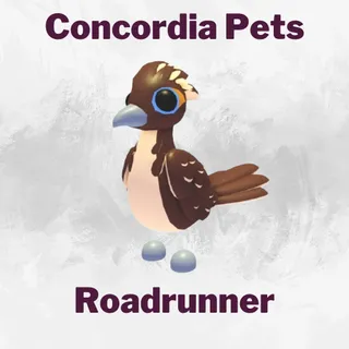 Roadrunner