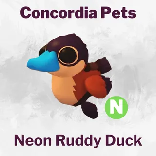 Neon Ruddy Duck