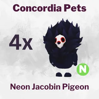 Neon Jacobin Pigeon 4x