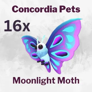 Moonlight Moth