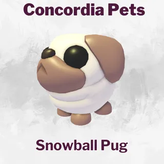 Snowball Pug