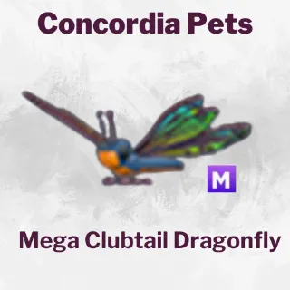 Mega Clubtail Dragonfly