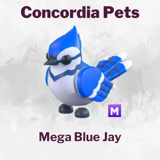 Mega Blue Jay