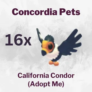 California Condor x16