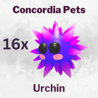 Urchin