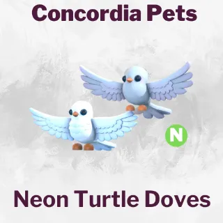 Neon Turtle Doves