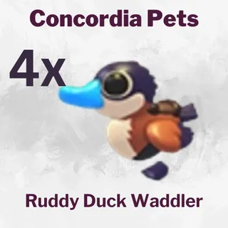 Ruddy Duck Waddler