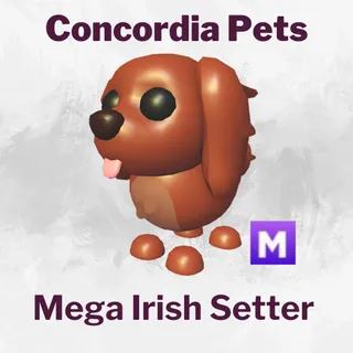 Mega Irish Setter